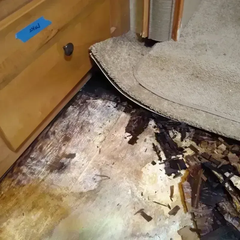 Wood Floor Water Damage in Pacific City, OR